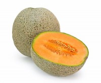 Cantaloupe Melon