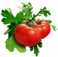Organic Tomatoes (large)
