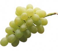 Thompson Green Grapes