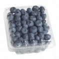 Blueberries