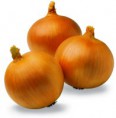 Yellow Onion