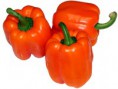 Orange bell pepper