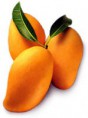 Yellow Mango